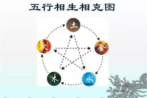 探索山双色球，一场数字与运气的奇妙之旅