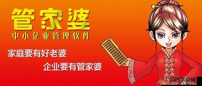 管家婆官网，企业管理的智慧之选