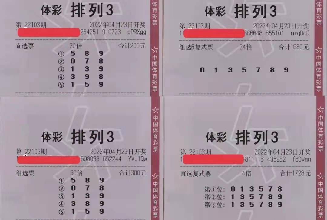 今日排列五长条，数字游戏中的智慧与策略