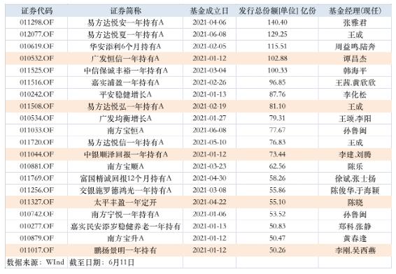 澳门6大赌牌持有人名单一览表，深度解析与图片大全下载