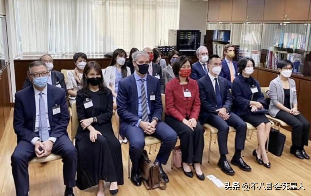澳门6大赌牌持有人名单最新查询表格