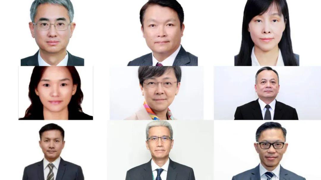 澳门六张赌牌花落谁家，视频播放完整解析