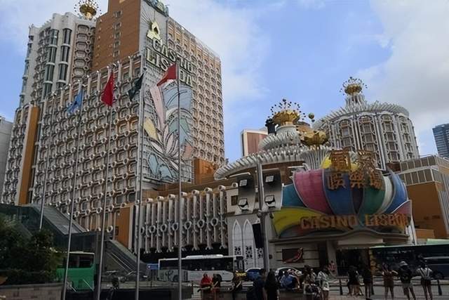 澳门6张赌牌的归属与影响，深度解析与视频下载指南