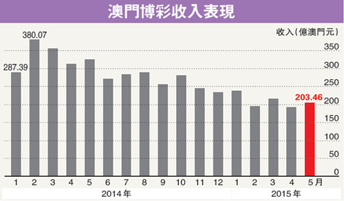 澳门6张赌牌归属与影响分析，深度解析与视频回顾