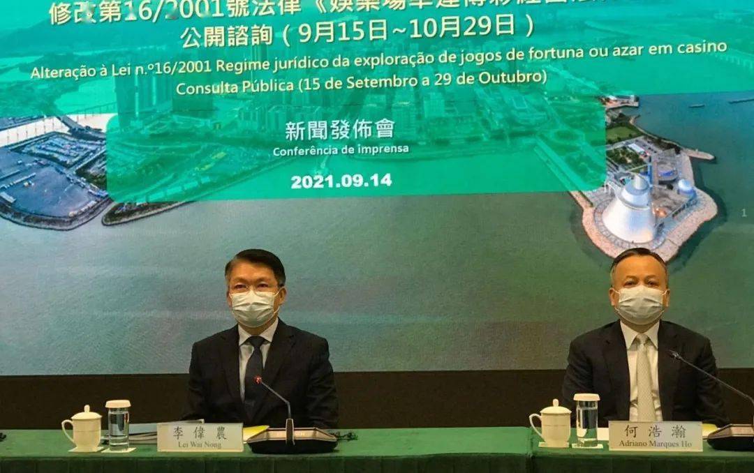 澳门6张赌牌归属揭秘，视频下载新趋势与行业动态