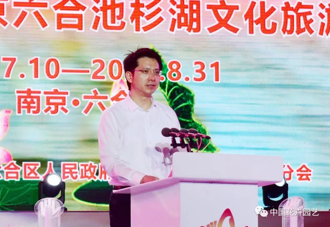澳门6盒彩开奖结果最新查询汇总，图片下载与数据分析